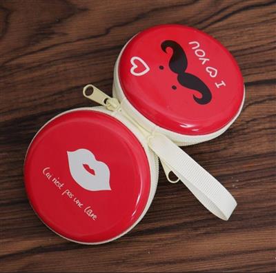 Earphone Case